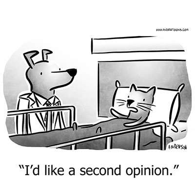Comic Strip Dog Doctor Cat Patient Second Opinion