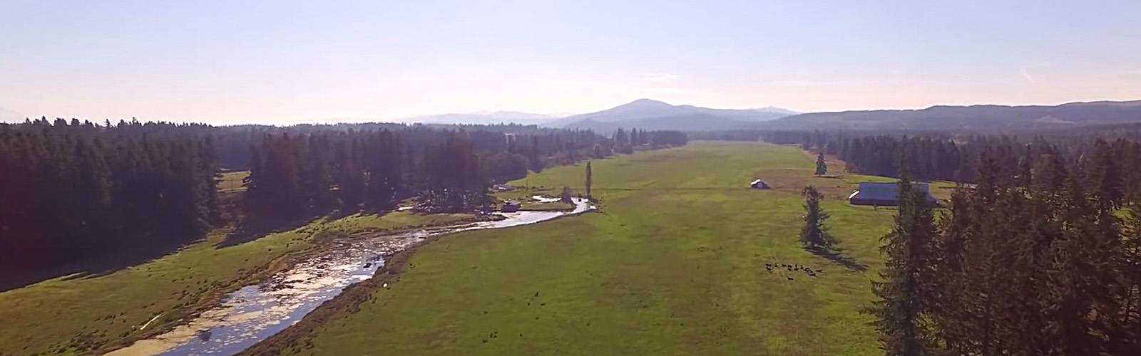 O Bee Credit Union Tenino WA Hours and Directions ATM