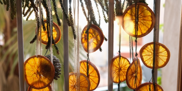 CITRUS-GARLAND_600-(1).jpg