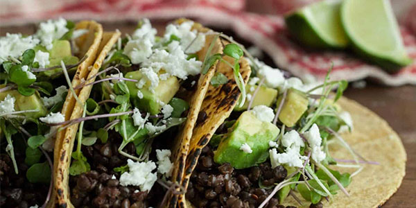 Chipotle Lentil Tacos Recipe - OBee Credit Union in Olympia Wa