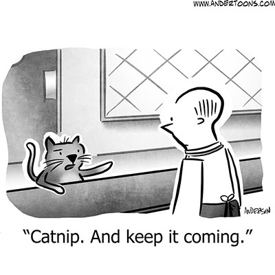 Cartoon, Cat ordering at bar: Catnip and keep it coming!