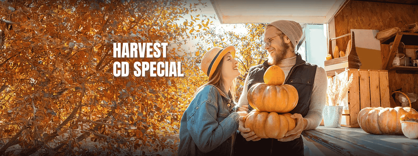 <br />20-Month CD Special